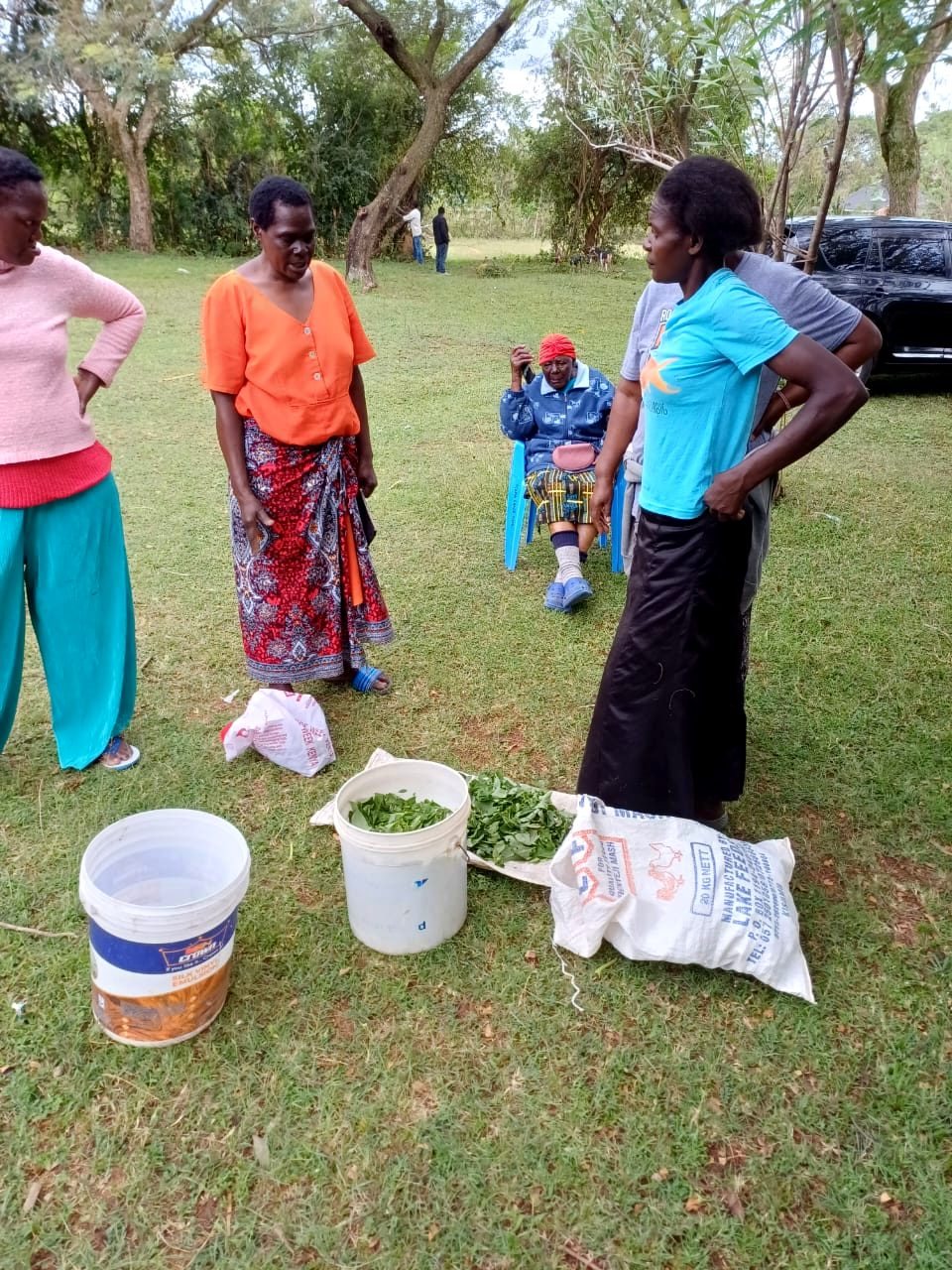 Community members gathering produce as part of sustainable, community-led practices